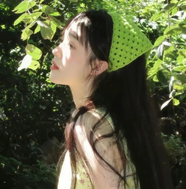 极地熊踪